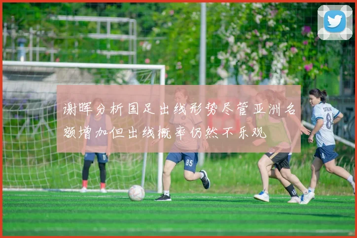 谢晖分析国足出线形势尽管亚洲名额增加但出线概率仍然不乐观